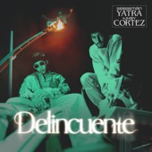 Delincuente artwork