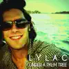 Under a Palm Tree - Single album lyrics, reviews, download