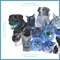 Pet Care Club - PetMusic Academy lyrics
