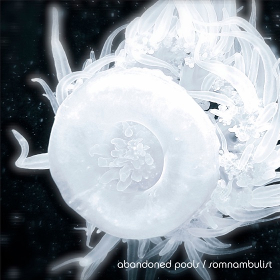 Cover artwork for Focus