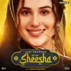 Sheesha (feat. Jordan Sandhu & Bunty Bains) song lyrics