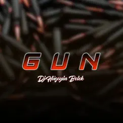 Gun - Single by Dj Hüseyin Belek album reviews, ratings, credits