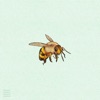 Honeypot - Single