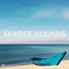 !!!" Seaside Sounds "!!! album lyrics, reviews, download