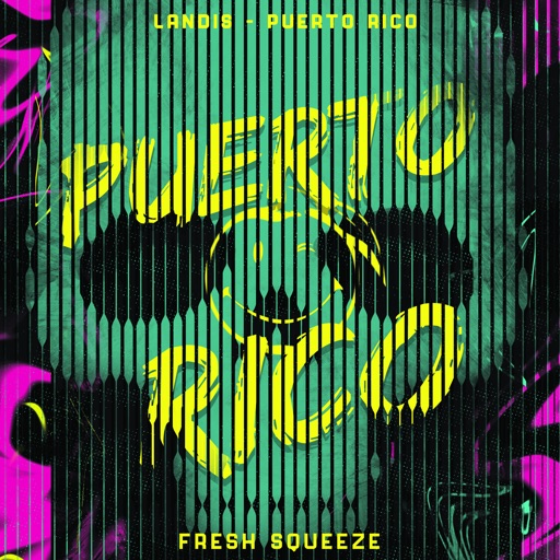 Art for Puerto Rico by Landis