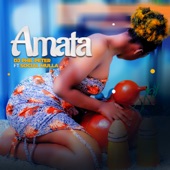 Amata (feat. Social Mula) artwork
