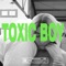 Toxic Boy (feat. MLV) artwork