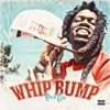 Whip Bump - Single