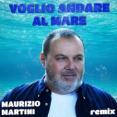 Voglio andare al mare (Remix) artwork