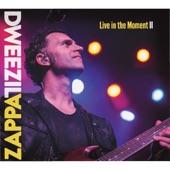 Dweezil Zappa - The Return of the Son of Orange County