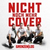 Nicht noch mehr Cover - Single, 2021