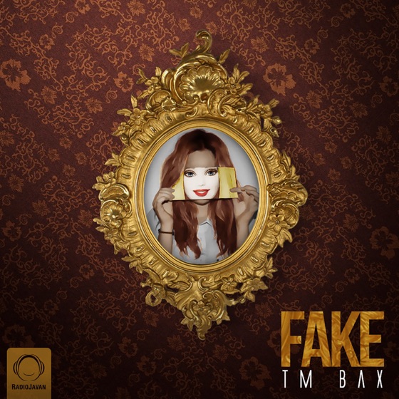 Cover artwork for Fake