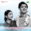 A. M. Rajah & P. Susheela - Ninaikkum Pothe