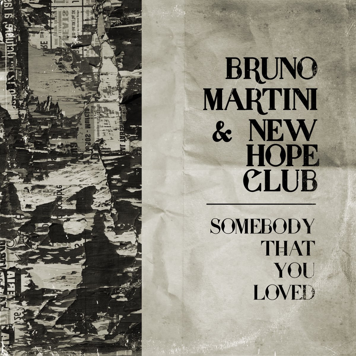Somebody That You Loved - Single by Bruno Martini & New Hope Club on Apple  Music