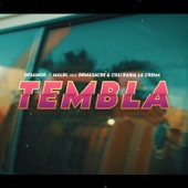 Tembla (feat. Drmasacre & Coli Rabia la Crema) artwork