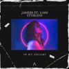 In My Dreams (feat. Liam Sturgess) - Single