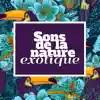 Sons de la nature exotique: cœur de la jungle, la nature sauvage, animaux tropicaux, relaxation calme, sereins sons apaisants de la nature album lyrics, reviews, download