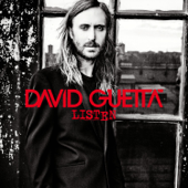 David Guetta - Goodbye Friend (feat. The Script) Lyrics