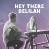 Hey There Delilah - Single