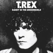 Dandy in the Underworld (2019 Super Deluxe Edition) - T. Rex