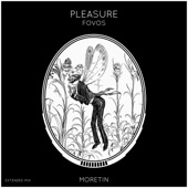 Pleasure (Extended Mix) artwork