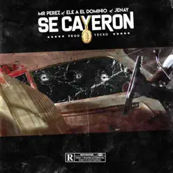 Se Cayeron - Single - Jenay