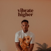 Vibrate Higher (feat. Lalah Delia) artwork