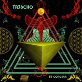 Tr38cho - 0.6 Il Retrogada