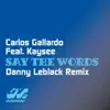Say the Words (Danny Leblack Remix) [feat. Bobby Alexander] - Single album lyrics, reviews, download