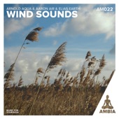 Wind Sounds artwork