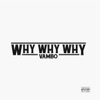 Why Why Why - Single