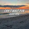 Can’t Wait For Right Now (feat. Sunny Texxas) - Single album lyrics, reviews, download