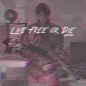 Live Free or Die (Live) artwork