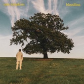 Bloodline artwork