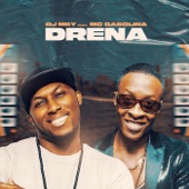 Drena (feat. MC Gasolina) artwork