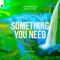 Something You Need - Joachim Pastor & Signum lyrics