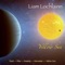 Yellow Sun - Liam Lochlainn lyrics