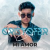 Mi Amor - Single