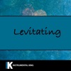 Instrumental King - Levitating