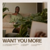 Want You More artwork