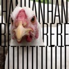 Hanreti - Any Other Day Pt. II