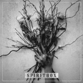 Spiritbox artwork