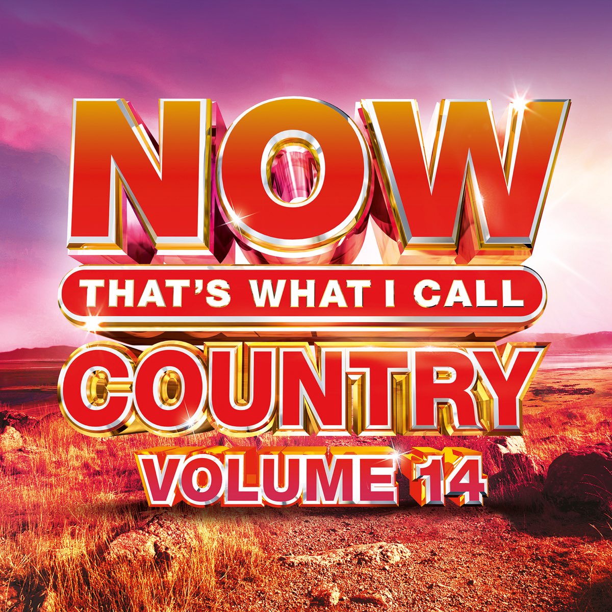 ‎NOW That's What I Call Country, Vol. 14 by Various Artists on Apple Music