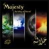 Majesty, 2007