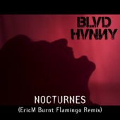 Nocturnes (feat. EricM) [EricM Burnt Flamingo Remix] artwork