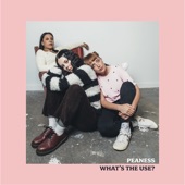 What's the Use? - Single