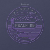 Psalm 119, Vol. 3 artwork