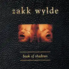 Book of Shadows by Zakk Wylde album reviews, ratings, credits