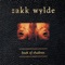 Sold My Soul - Zakk Wylde lyrics