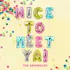 Nice to Meet Ya! - Single album lyrics, reviews, download